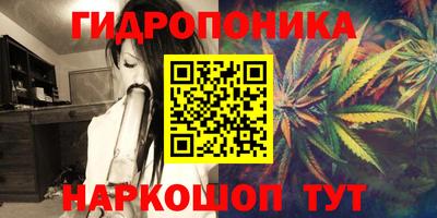шишки Лесосибирск