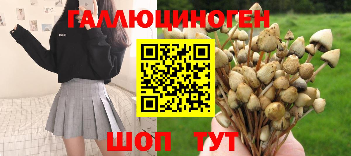 Псилоцибиновые грибы GOLDEN TEACHER  Псилоцибиновые грибы прущие грибы  Бузулук  Вход с VPN 